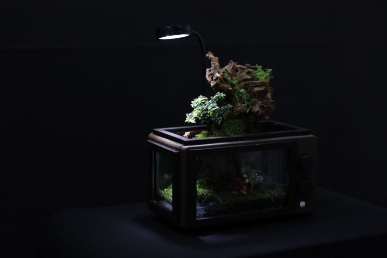 Photo Aquarium setup