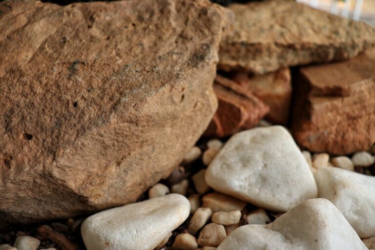 Photo naturist treatment for kidney stones