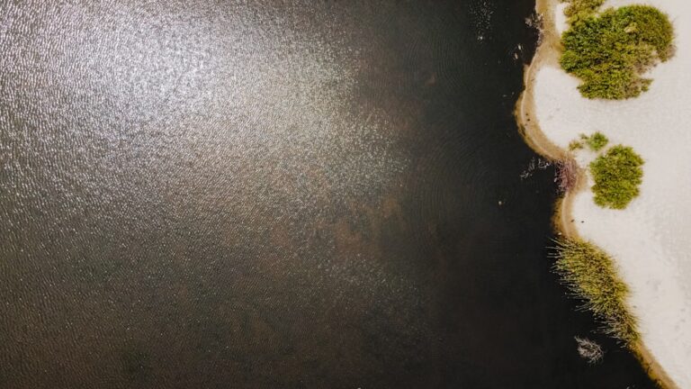 Photo boala Parkinson