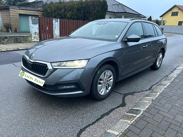 masini-de-inchiriat-Lion-Rent