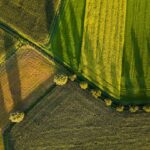 Photo agricultural sector analysis