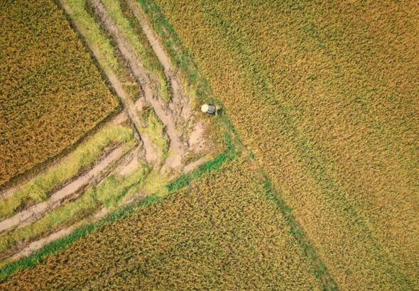 pexels-h-u-th-nh-79-516407425-36625433